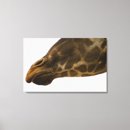 Toile Giraffe, gros plan (Recto)