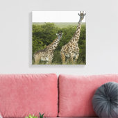 Toile Giraffes en Kenya, Afrique (Insitu(Salon))
