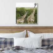 Toile Giraffes en Kenya, Afrique (Insitu(Chambre))
