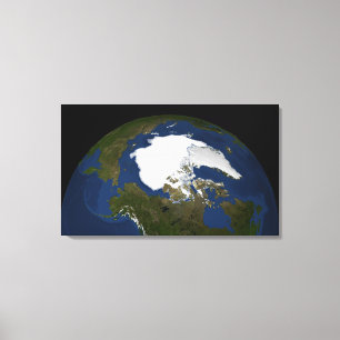 Toile Glace de mer arctique en 2005