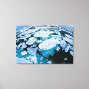 Toile Glace et neige Ours polaire, Océan Arctique, Sva
