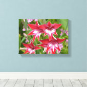 Toile Glaïeuls rouges et blancs Été botanique (Insitu (Plancher de Bois))