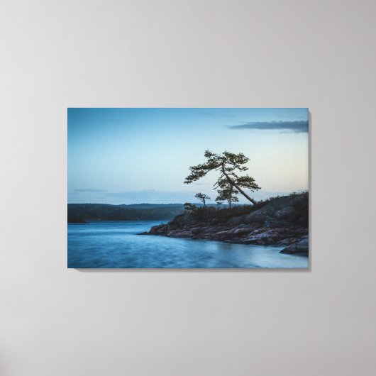 Toile Glaskogen Suède (Recto)
