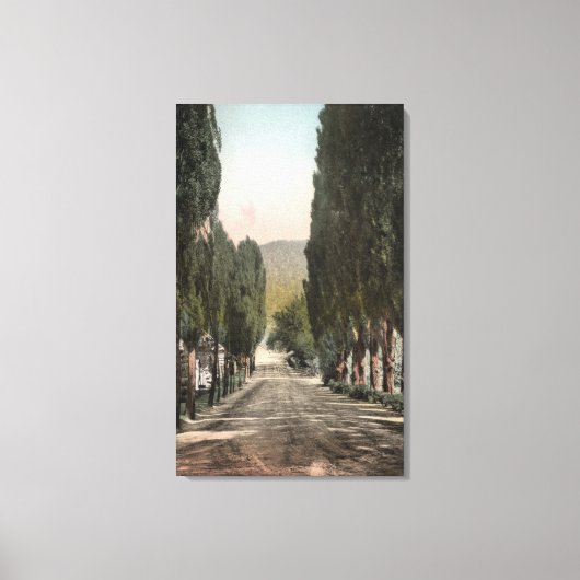 Toile Glenwood Springs, Colorado (Recto)