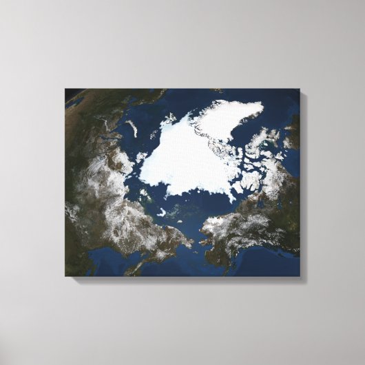 Toile Glice marine arctique (Recto)