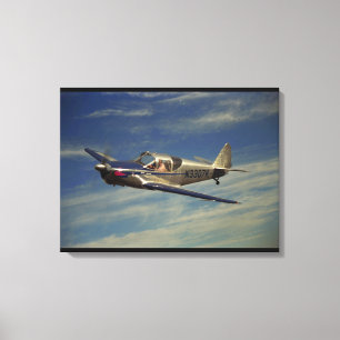 Toile Globe, aviation 1946_Classic rapide