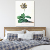 Toile Gloire de Chilton (gouache sur vellum) (Insitu(Chambre))