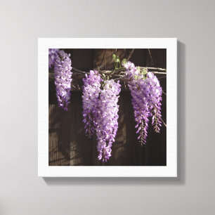 Toile Glycine violette de 12" x 12" sur une clôture en b