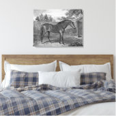 Toile Godolphin Arabian Hores (Insitu(Chambre))