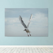 Toile Goéland à tête noire en vol (Insitu (Plancher de Bois))