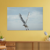 Toile Goéland à tête noire en vol (Insitu(Salon))