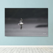 Toile Goéland à tête noire Ver.Été Au Japon (Insitu (Plancher de Bois))