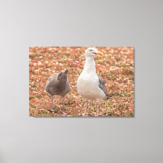 Toile Goéland et poussette (Recto)