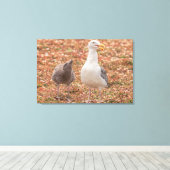 Toile Goéland et poussette (Insitu (Plancher de Bois))