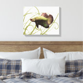 Toile Gold Betta Combattre le poisson (Insitu(Chambre))