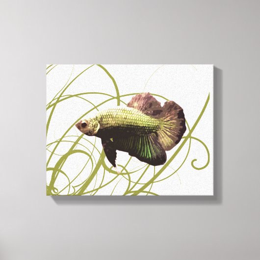 Toile Gold Betta Combattre le poisson (Recto)