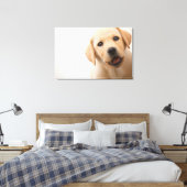 Toile Golden Labrador (Insitu(Chambre))