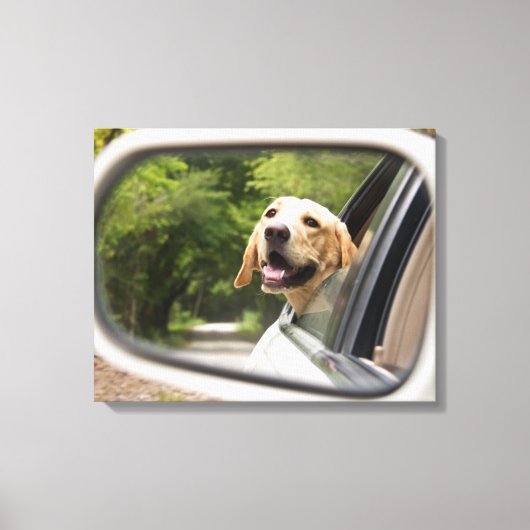 Toile Golden Labrador En Réarview Mirror (Recto)