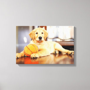 Toile Golden Retriever