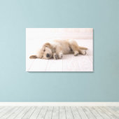 Toile Golden Retriever (Insitu (Plancher de Bois))