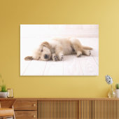 Toile Golden Retriever (Insitu(Salon))