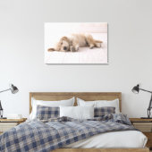 Toile Golden Retriever (Insitu(Chambre))