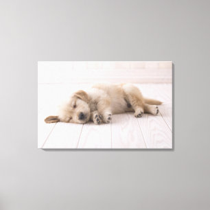 Toile Golden retriever