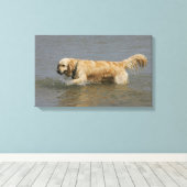 Toile Golden Retriever dans l'eau (Insitu (Plancher de Bois))