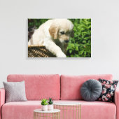 Toile Golden Retriever Puppy (Insitu(Salon))