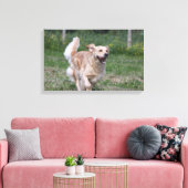 Toile Golden Retriever Running 1 (Insitu(Salon))