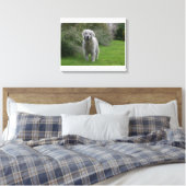 Toile Golden Retriever Running 2 (Insitu(Chambre))