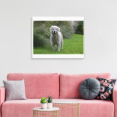 Toile Golden Retriever Running 2 (Insitu(Salon))