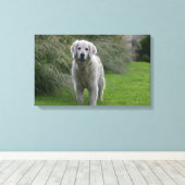 Toile Golden Retriever Running 2 (Insitu (Plancher de Bois))
