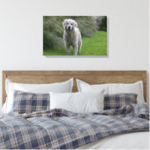 Toile Golden Retriever Running 2 (Insitu(Chambre))