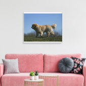 Toile Golden Retriever Running 3 (Insitu(Salon))