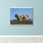Toile Golden Retriever Running 3 (Insitu (Plancher de Bois))