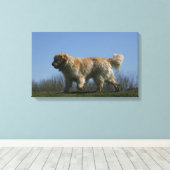 Toile Golden Retriever Running 3 (Insitu (Plancher de Bois))