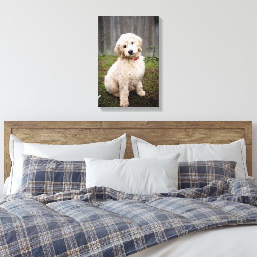 Toile Goldendoodle Puppy Se Trouve Dans L'Herbe (Insitu(Chambre))