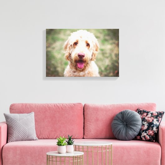 Toile Goldendoodle souriant (Insitu(Salon))
