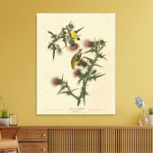 Toile Goldfinch américain d'Audubon's Birds of America (Insitu(Salon))