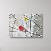 Toile Goldfinch et Cardinal (Recto)
