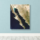 Toile Golfe de Californie (Insitu (Plancher de Bois))