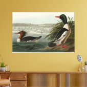 Toile Goosander (Merganser commun) Oiseaux d'Audubon (Insitu(Salon))