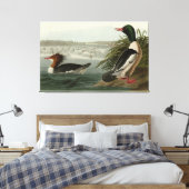 Toile Goosander (Merganser commun) Oiseaux d'Audubon (Insitu(Chambre))