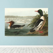 Toile Goosander (Merganser commun) Oiseaux d'Audubon (Insitu (Plancher de Bois))