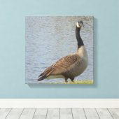 Toile Goose By Pond Canvas (Insitu (Plancher de Bois))