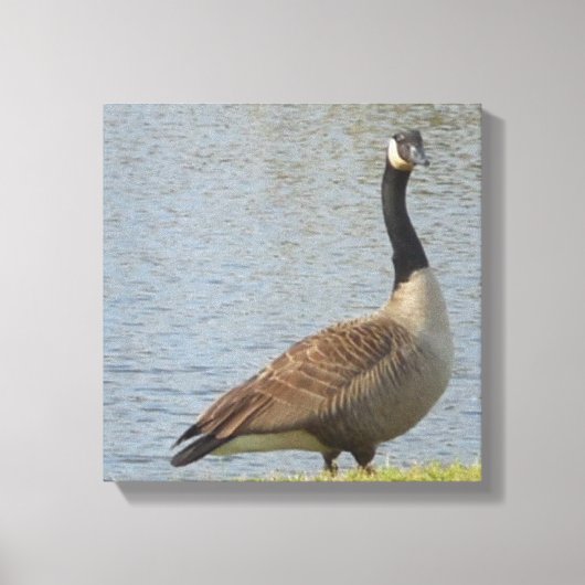 Toile Goose By Pond Canvas (Recto)