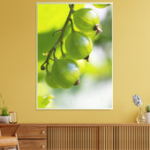 Toile Gooseberries vertes CC0307 Large (Insitu(Salon))