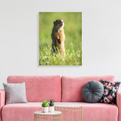 Toile Gopher (Insitu(Salon))