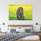 Toile Gorgeous Mastiff (Insitu(Chambre))